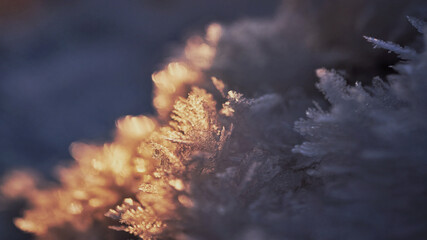 Naklejka na ściany i meble Abstract texture macro image of snow crystals backlit by the sun