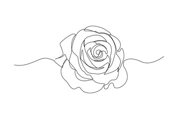 Continuous line drawing of rose flower. One line art concept of beautiful floral for love greeting. Vector illustration - obrazy, fototapety, plakaty