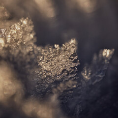 Abstract texture macro image of snow crystals backlit by the sun