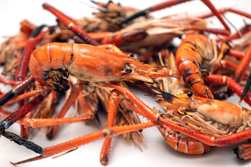 Close up of Grilled River Shrimp for Thai Seafood Isolated white ackground.