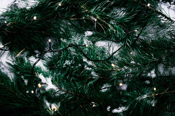 Christmas tree branches. The concept of the new year, christmas, nature. Flat lay, top view. Garland and snow on it. Merry Christmas