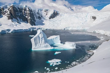 Gordijnen iceberg in polar regions © Stanislav