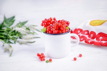 Ripe red currant berries in a white enameled cup and veronica flowers on a white background