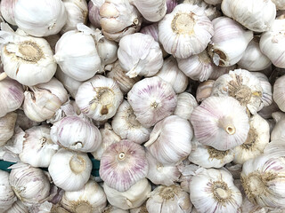 View of garlic texture background