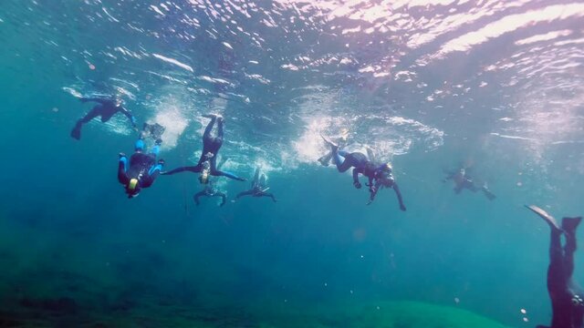 Group of snorkeler diving in the crystal clear Ewens Pond during sunlight.Sun reflection on water surface.Exploring underwater world.