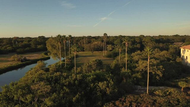 Sunset palm trees in Seminole, Florida