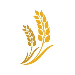 Fototapeta premium Wheat logo images