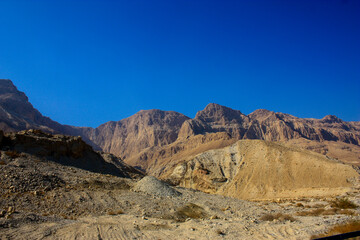 Mountain nature landscape. Desert on a sunny day. Negev Desert in Israel