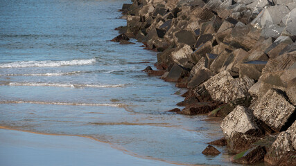 small waves reaching the shore