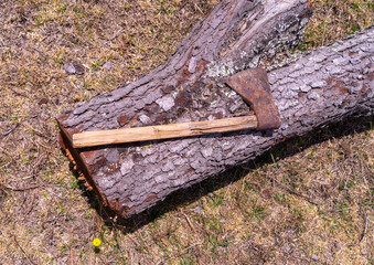 An old, damaged axe