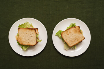 sandwich with tomatoes, chicken, cheese and salad on a green background