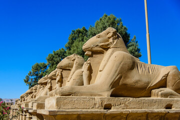 Avenue of the ram-headed Sphinxes in a Karnak Temple. Luxor, Egypt