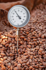 Temperature measurement of cocoa beans fermented in wooden barrels
