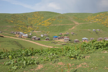 Fototapeta na wymiar Mountain Village. beautiful Georgian landscape in sunny day. Nature of Georgia