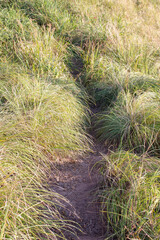 Nature trail of the outdoor place