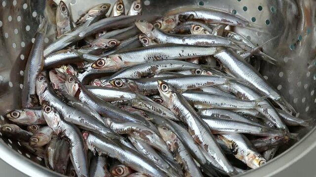 Colander with fresh raw whole anchovy fishes