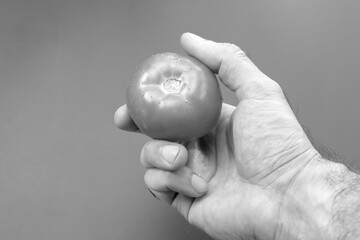 Ripe tomato in human hands