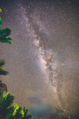 The amazing milky way with tropical palms in the foreground. Holiday and happiness concept