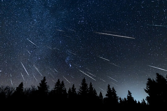 Meteor shower with 44 meteors and the milky way in the background above a silhouette treeline of spruce and pine trees. Composite from 44 images. 