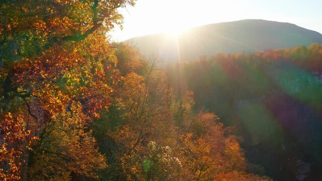 Caucasus Mountains at autumn. Flight over the autumn forest in Caucasus Mountains at sunset. Russia