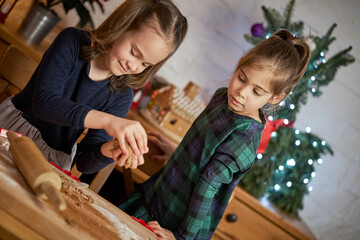 two cute sisters make and decorate Christmas gingerbread cookies