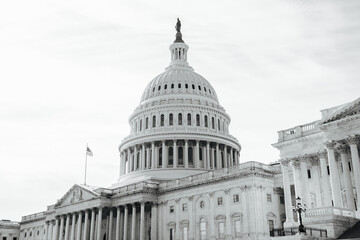 United States Capitol in Washington D.C.