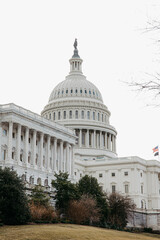 United States Capitol in Washington DC	