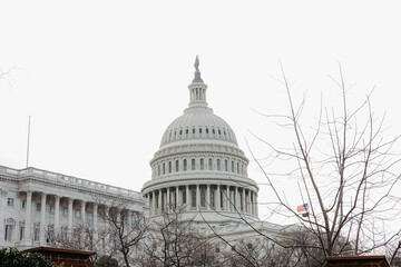 United States Capitol in Washington DC	