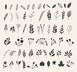 Hand drawn flowers and floral branches and berries, florals. Vector branches and leaves. Hand drawn floral elements in doodle style. Ink vintage botanical.