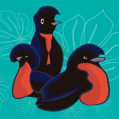 Pájaro sombrilla