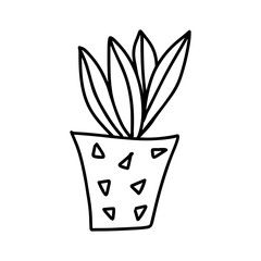 Black outline hand drawing vector illustration of a decorative plant Sansevieria in a pot isolated on a white background