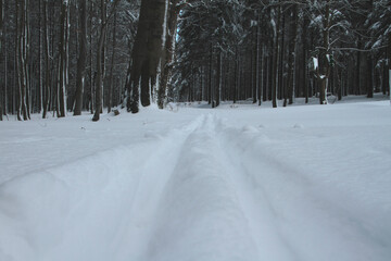 Winterlandschaft, ein Zauber in Schnee und Eis. Kleinschmalkalden, Thüringen, Deutschland, Europa -- 
Winter landscape, a magic in snow and ice. Kleinschmalkalden, Thuringia, Germany, Europe