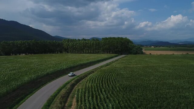 Aerial shot of BMW e30 car driving on vibrant green country road