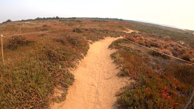 Fort Ord Dunes State Park in Marina, California (USA). POV of person walking through a coastal landscape along the Monterey Bay.
