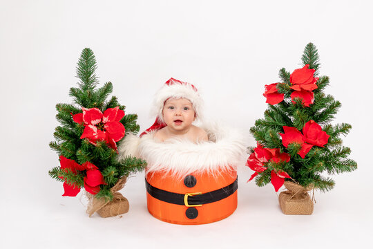 Christmas photo a small child girl sitting in a Santa hat in a basket near the Christmas trees on a white isolated background, happy new year 2021, space for text