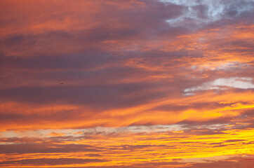 SUNSET DISPALY #8