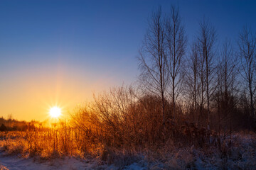 Dry grass in the rays of the winter sun at dawn. Winter beautiful landscape.
