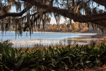 Scenic View of Lake Overstreet in Tallahassee, Florida