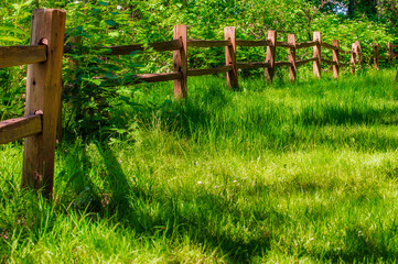 Obraz premium Fence leads the eye in this outdoor scene