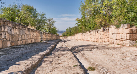 Fototapety na wymiar - Fototapeta24.pl