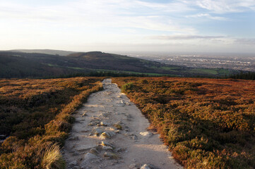 The Dublin Mountain Trail in the Setting Sun.