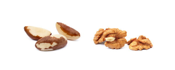 Healty para nuts and walnuts isolated on white background