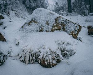 snow covered rock