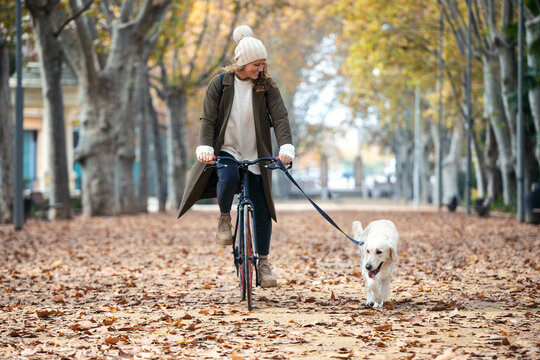 Beautiful young girl riding a bike while walking her dog in the park in autumn.