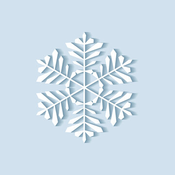 Vector snowflake. Vector snowflake icon. Snowflake logo. Flat winter snowflake.