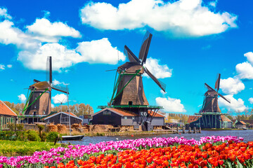 Dutch typical landscape. Traditional old dutch windmills with house, blue sky near river with...
