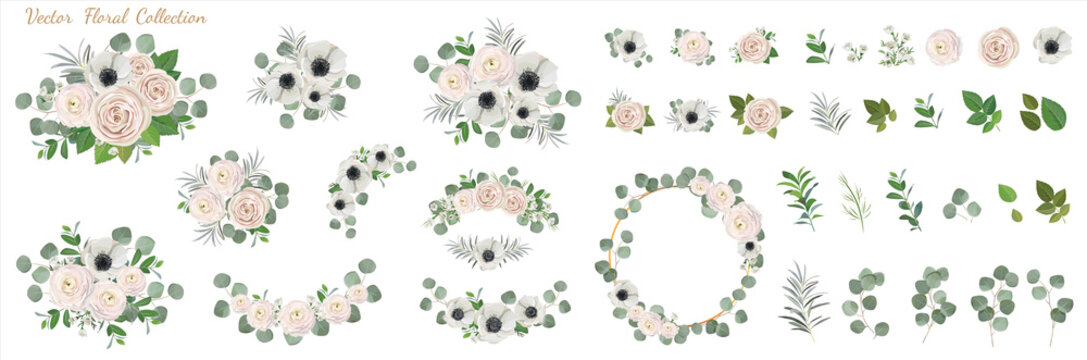 Set of floral elements. anemone ranunculus rose peony flowers, eucalyptus branches wreath green leaves and flowwers. Vector arrangements for greeting card or weddong invitation design