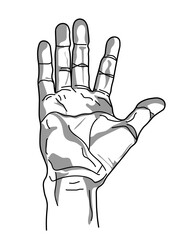 Human hand, hand, arm, fingers