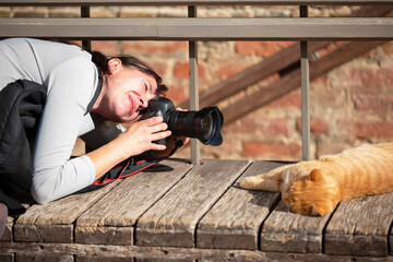 The photographer takes pictures of a ginger sleeping cat. Animal photographer.