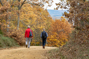 Fototapeta premium .Walking down the mountain in autumn.